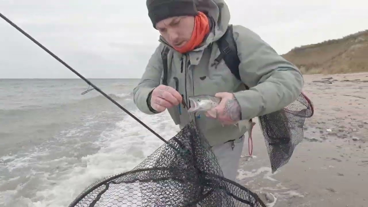 Meerforelle im Bereich Lübecker Bucht...! #seatrout