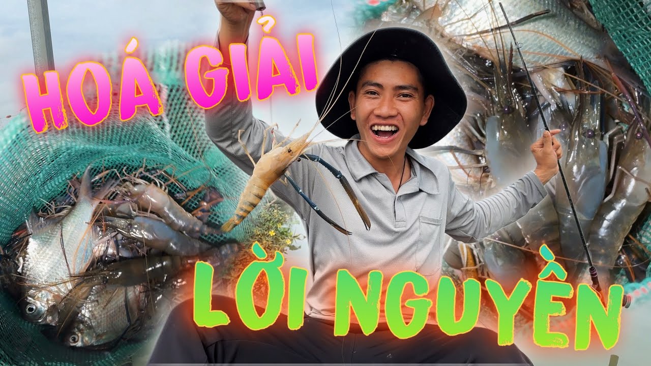 1 Ngày Câu Tôm Siêu Đã Và Lời Nguyền Của Toàn Đã Được Hóa Giải | Thanh Nhã TV