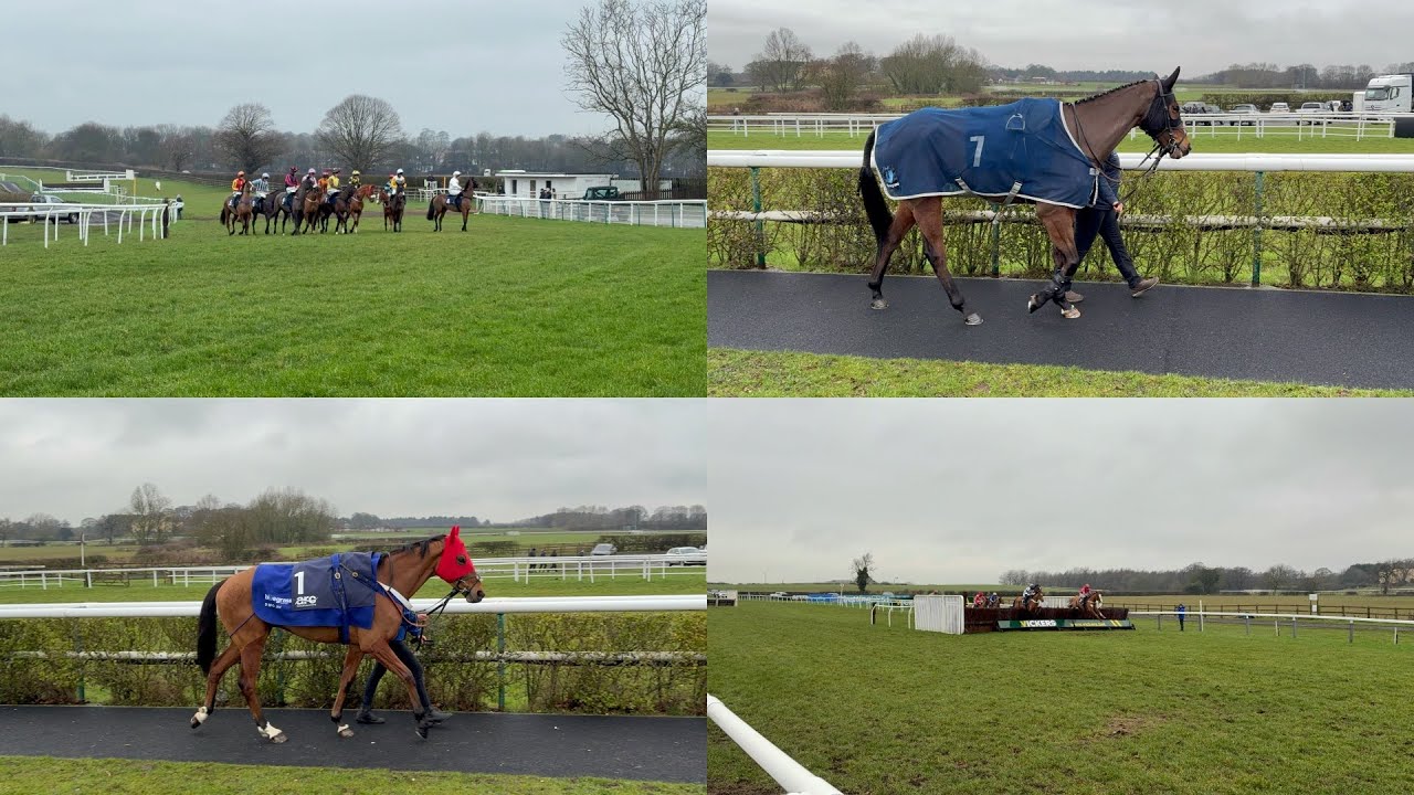 Swingingonthesteel and Supreme George run at Sedgefield | Day At The Races