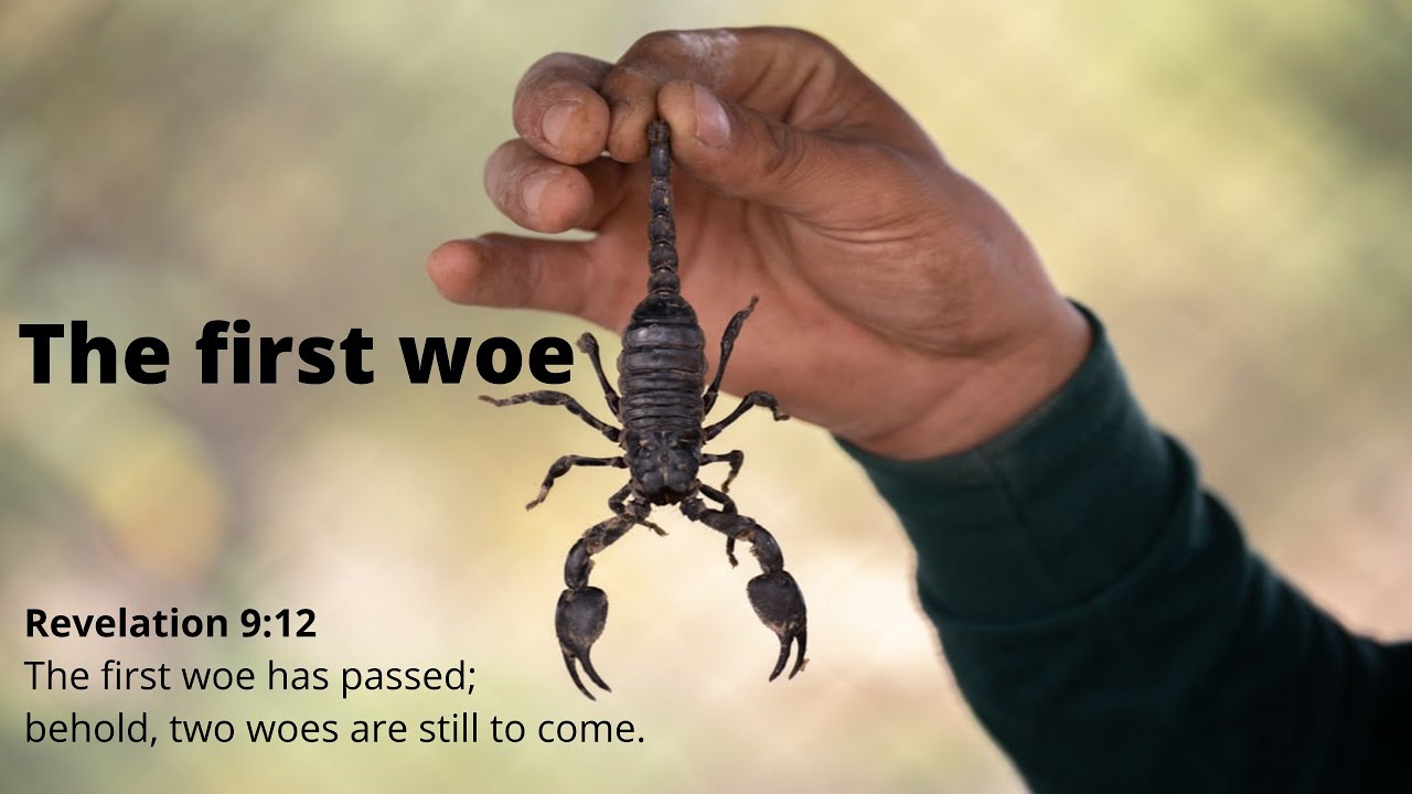 The first woe - Devotional