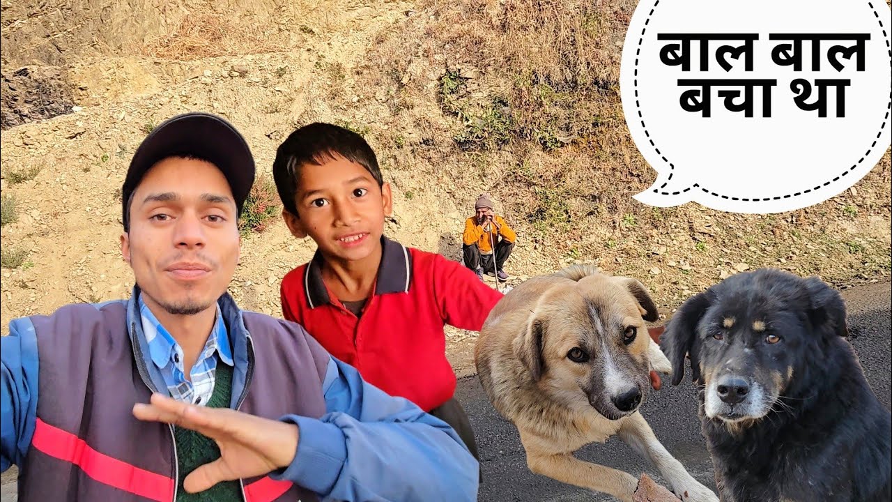 Hamara dog bal bal bacha tha || life style vlogs
