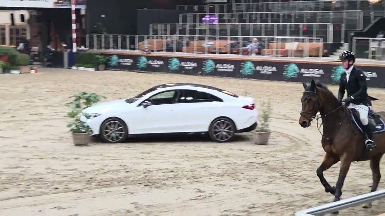 Acantos JS Z 10th place FSA 7y old Final 1.30m Sentower. Aganix Du Seigneur x Flamenco De Semilly 