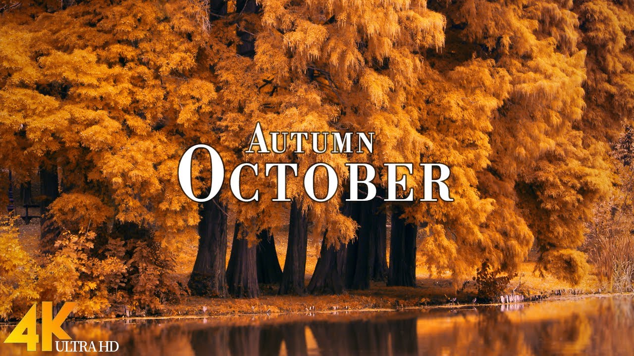 October Autumn 4K Ultra HD &bull; Enchanting Autumn October, Scenic Relaxation Film with Calming Music.