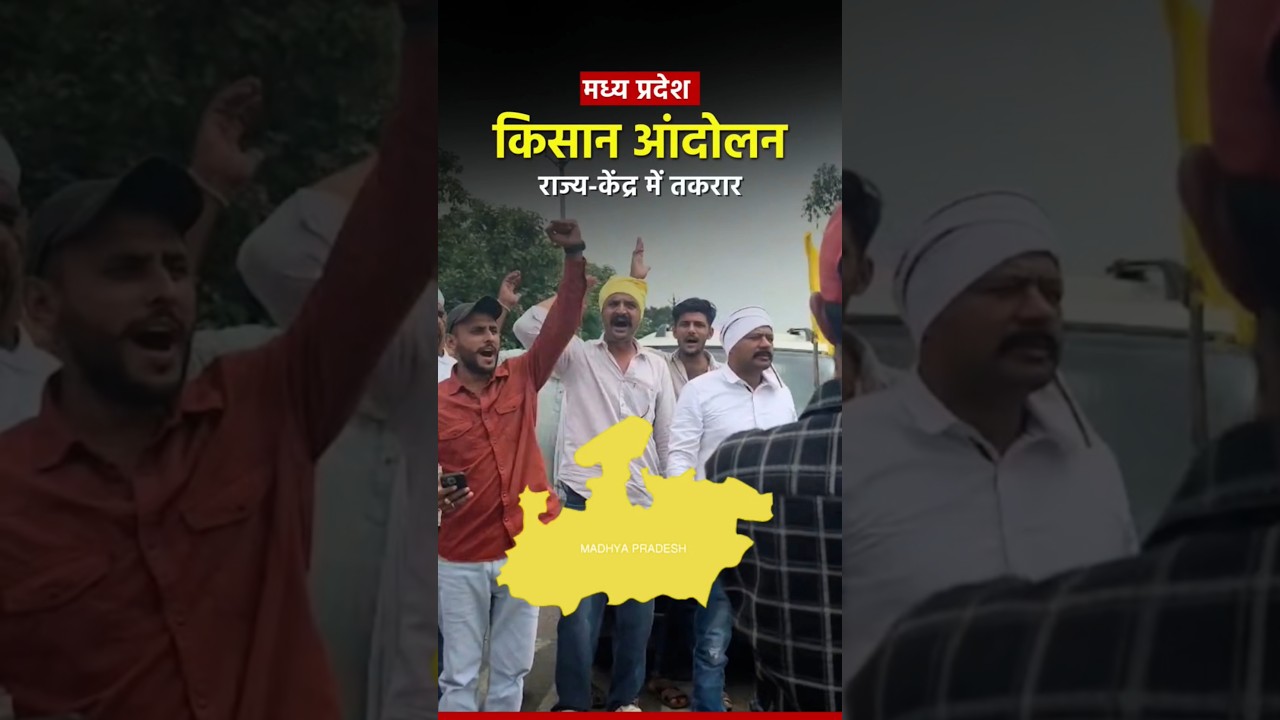 87% Moong Procurement Quota, But Only 2% Purchased! Why Are Farmers Protesting?