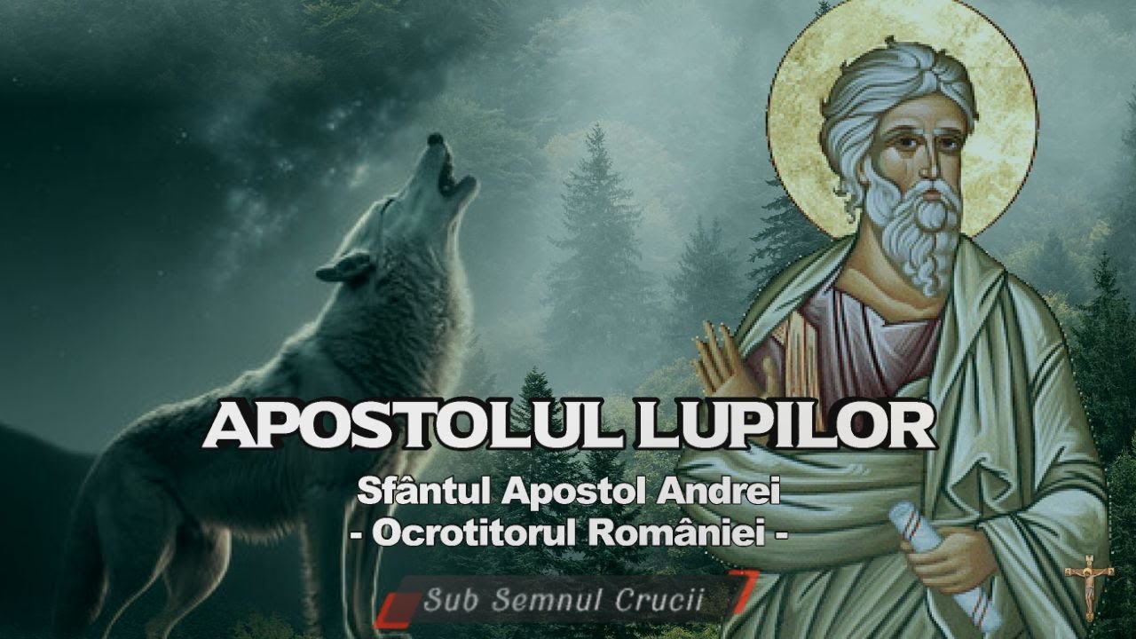 APOSTOLUL LUPILOR - Sf.  Apostol Andrei ocrotitorul Romaniei