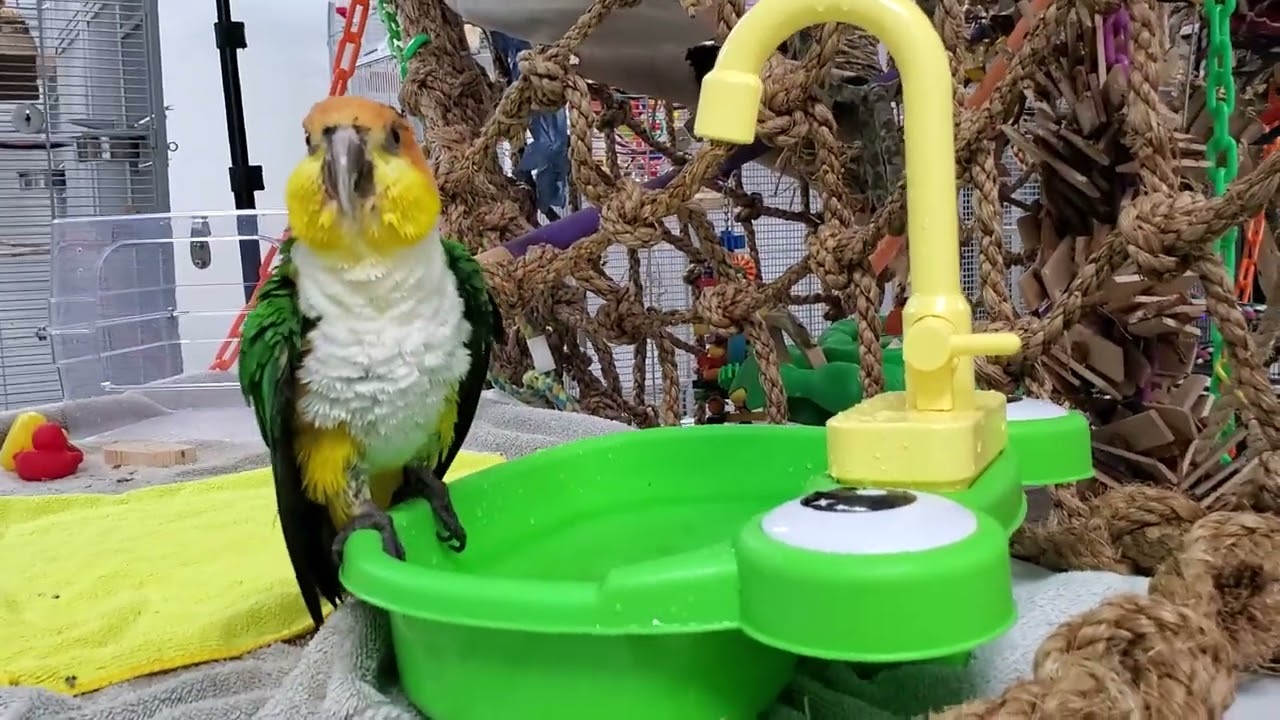 Bath time during 3rd recess (you'll see 🥰), Marley, Sunny, Spike and Nigel are out ❤️