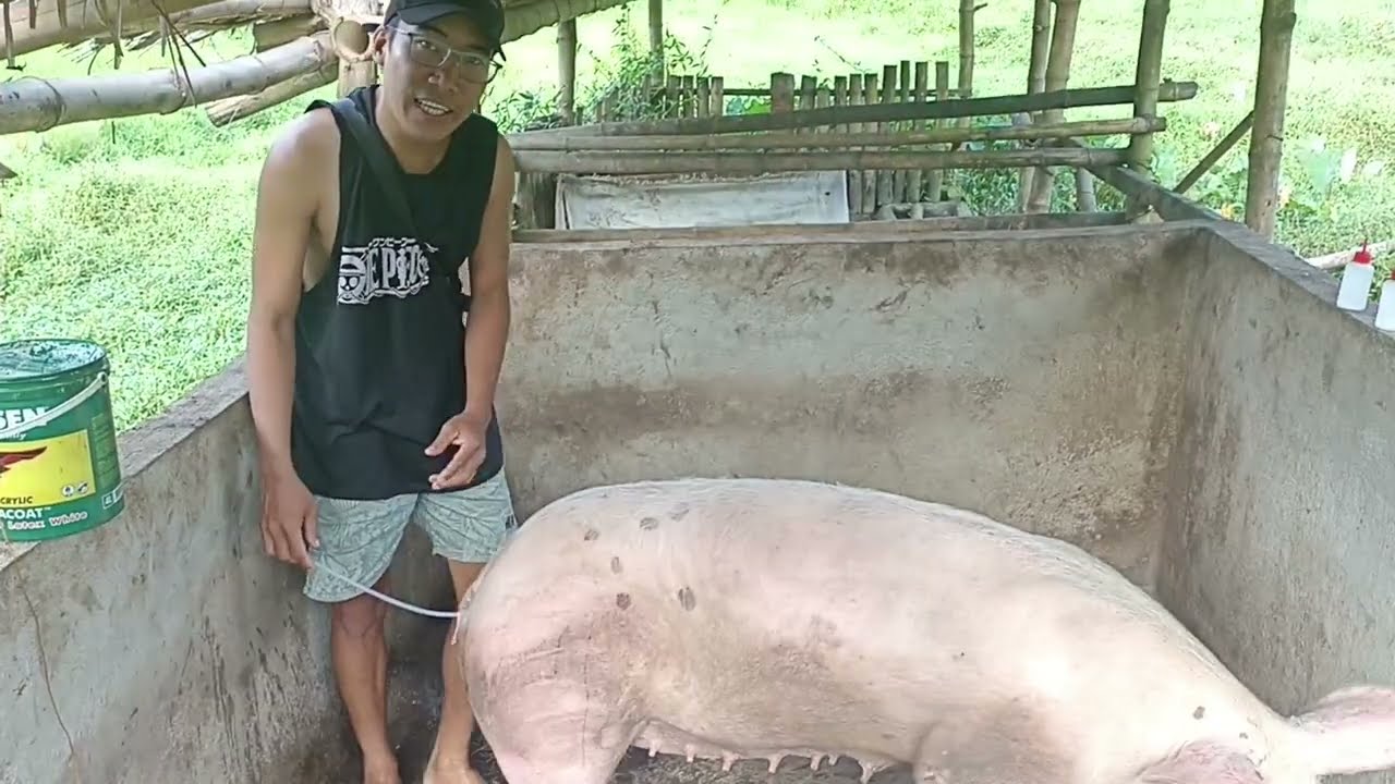 NAPAKA GANDANG LAHI  GP LANDRACE| FREE A.I BY NOLI BOY VLOGS #buhayprobinsya