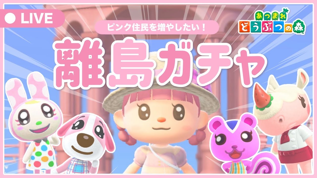 〖あつ森〗┊離島ガチャ で運命の出会い⁉