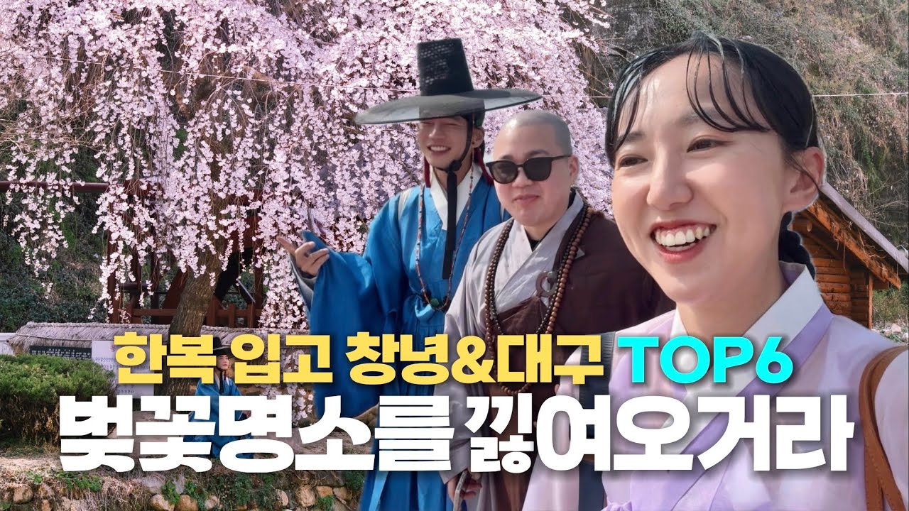 꽃선비,스님(?),한복아씨의 벚꽃놀이 TOP6 (시민들 실제 반응🔥) | Ep1. 경상도 벚꽃여행