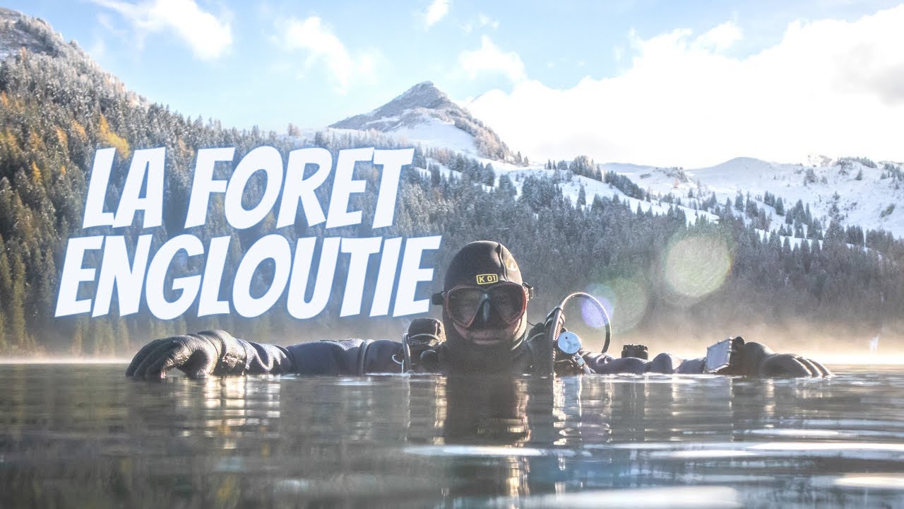 Une mystérieuse forêt engloutie il y a 50 ans!