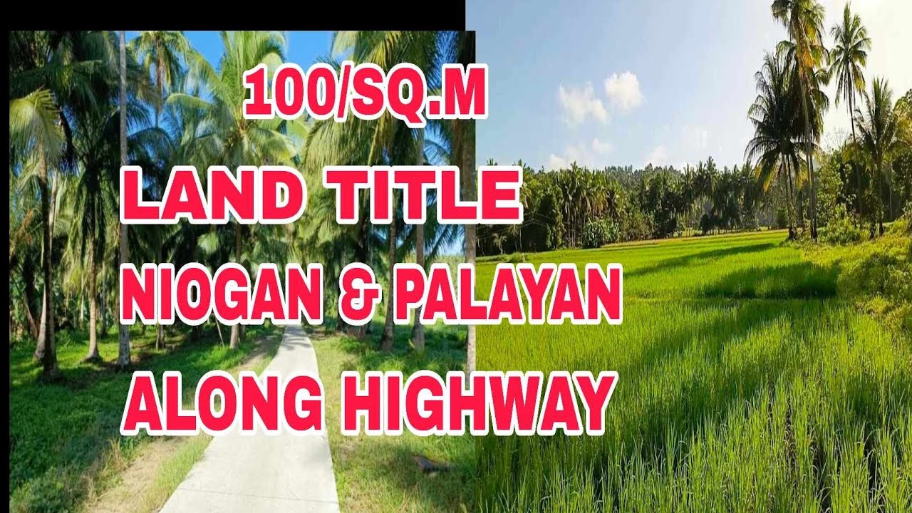 #784 #NIOGAN AT PALAYAN