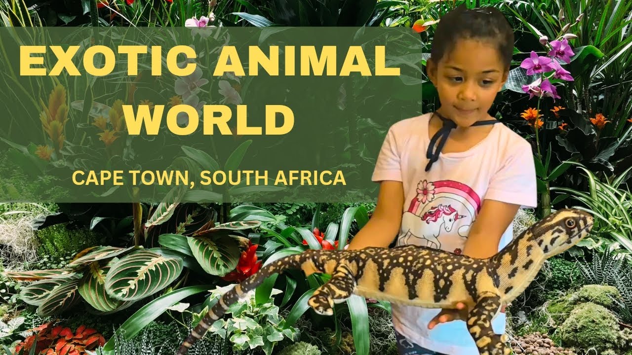 Exotic Animal World, Near Cape Town, South Africa (Previously Butterfly world)