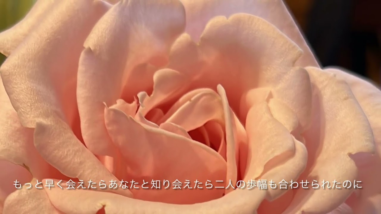 Ti Amo  徳永英明x EXILE