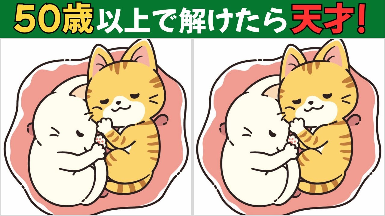 【間違い探しクイズ】大人向け｜何個見つかる？
