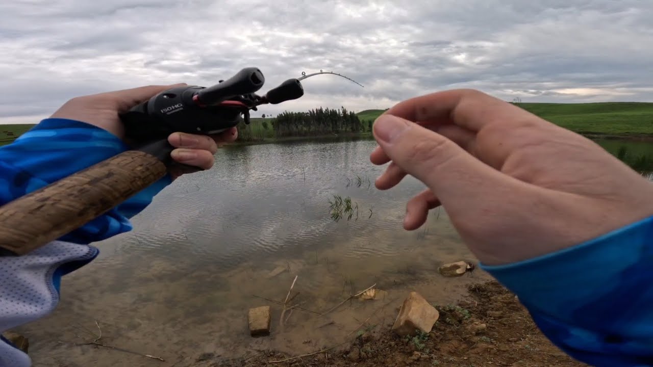 Bass fishing Netherwood farm | KZN Midlands