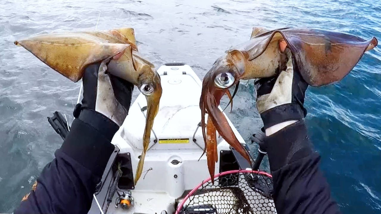 Clifton Springs Kayak Fishing for Squid is INK CHAOS
