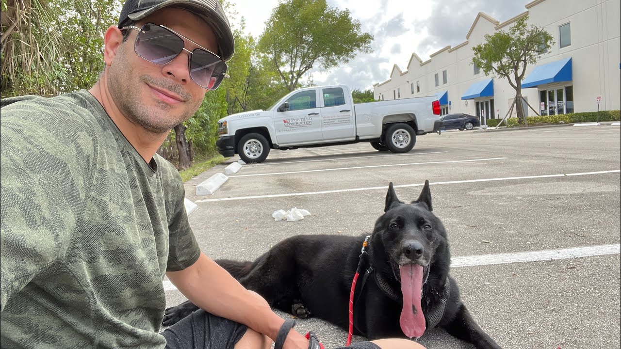 German Shepherd Pant - Levels of Pant - Black German Shepherd Skateboarding