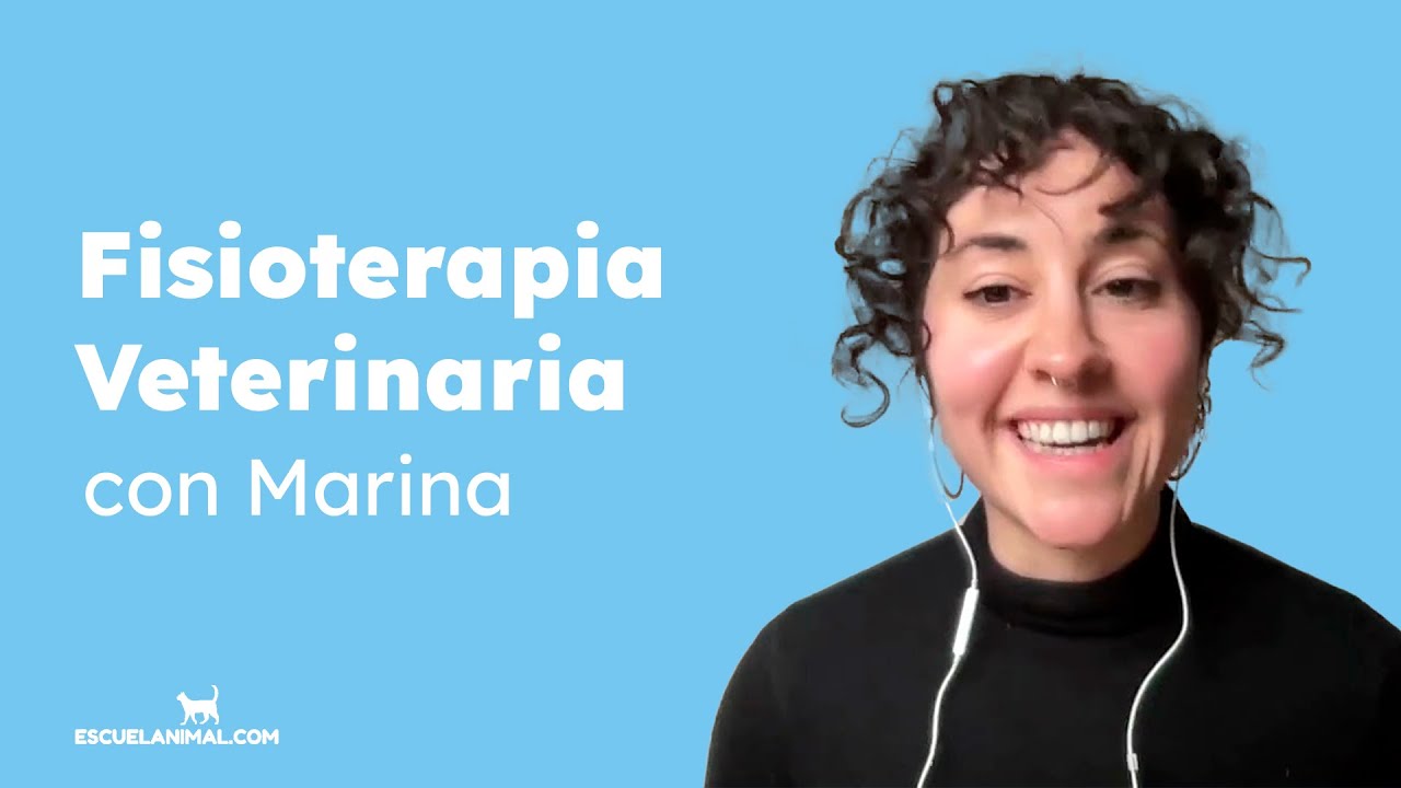 ¿Cómo es el trabajo de fisioterapeuta veterinaria? | Entrevista