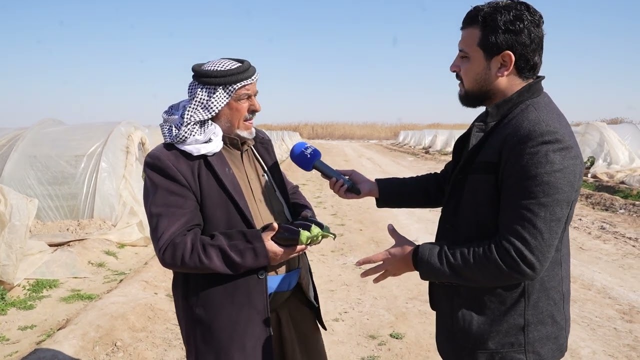 تقرير عن زراعة المغطى