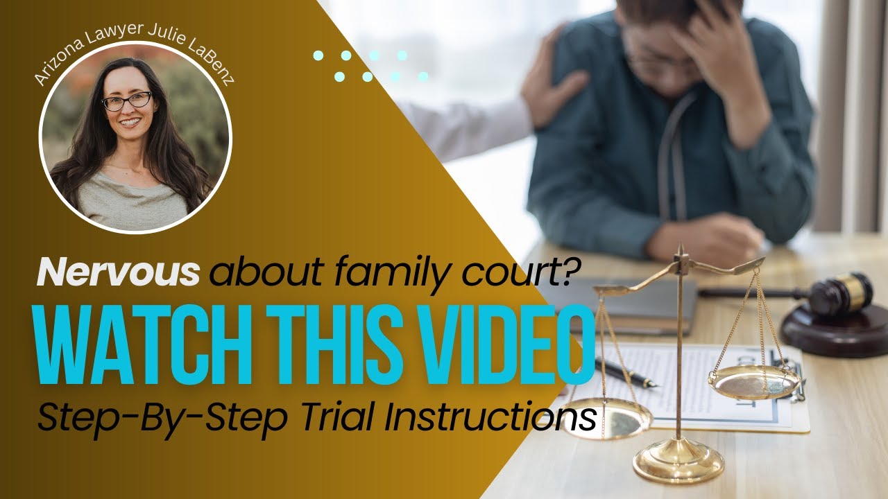 Nervous about family court? Step-By-Step Trial Instructions. Watch now!