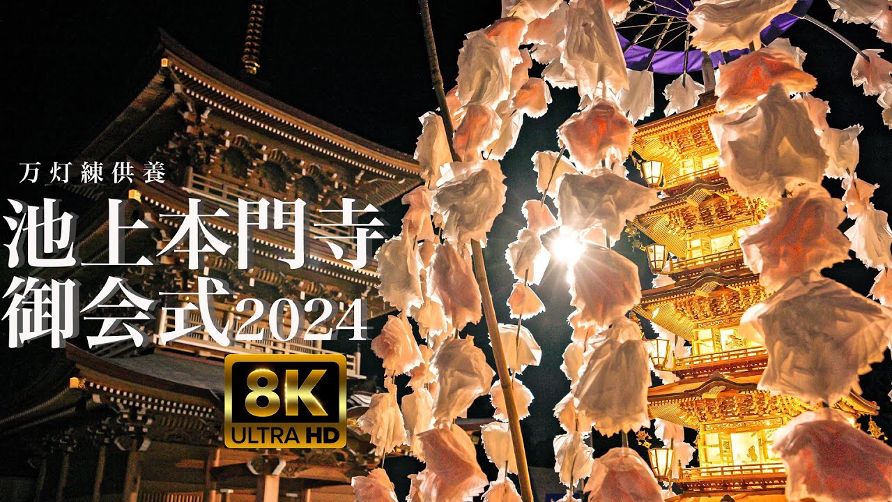 池上本門寺 お会式2024 万灯練供養 8K