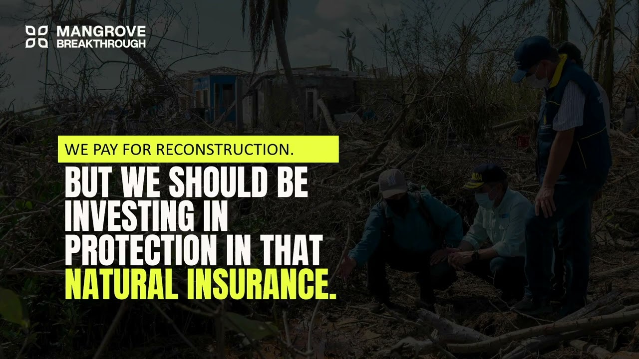 Carlos Correa Escaf - Keynote Speaker | International Blue Carbon & Wetlands Conference 2026