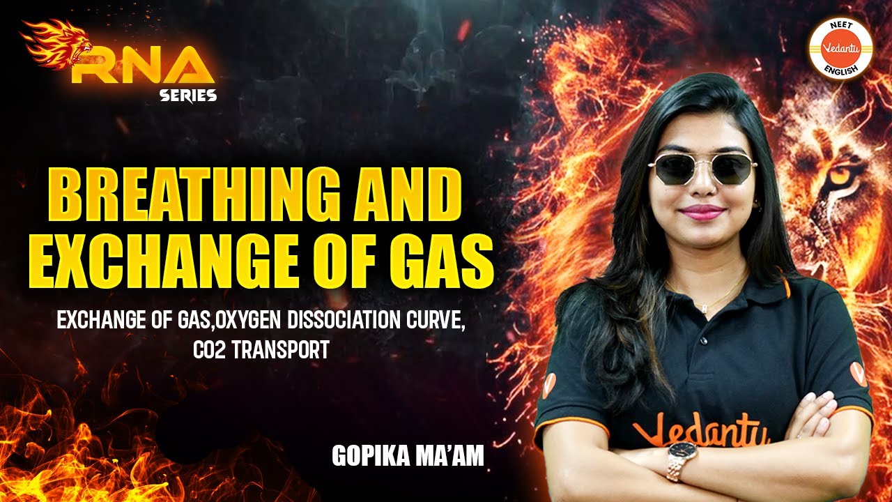 Breathing and Exchange of Gas-Exchange | Gas dissociation curve | NEET 2025 BIOLOGY | Gopika Ma'am