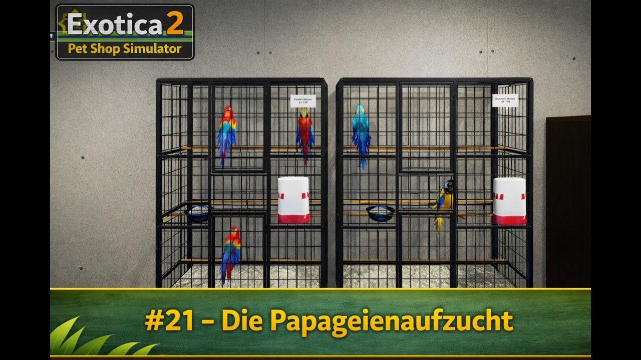 Exotica 2   Pet Shop Simulator   #21 Die Papageienaufzucht beginnt
