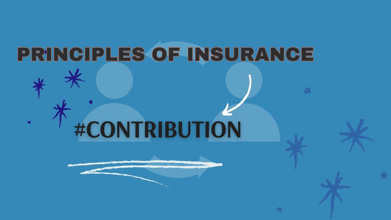 PRINCIPLE OF INSURANCE - CONTRIBUTION