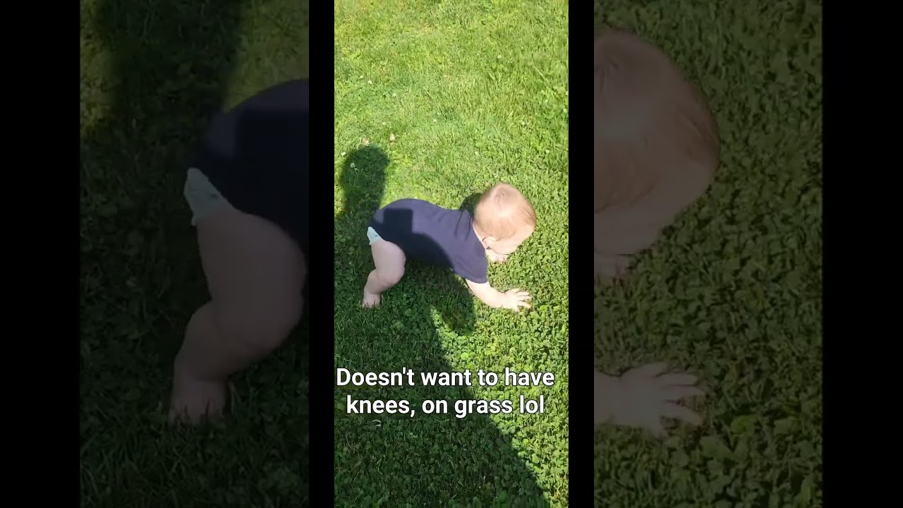 my son doing lowest bear crawl, won't crawl on knees in grass.