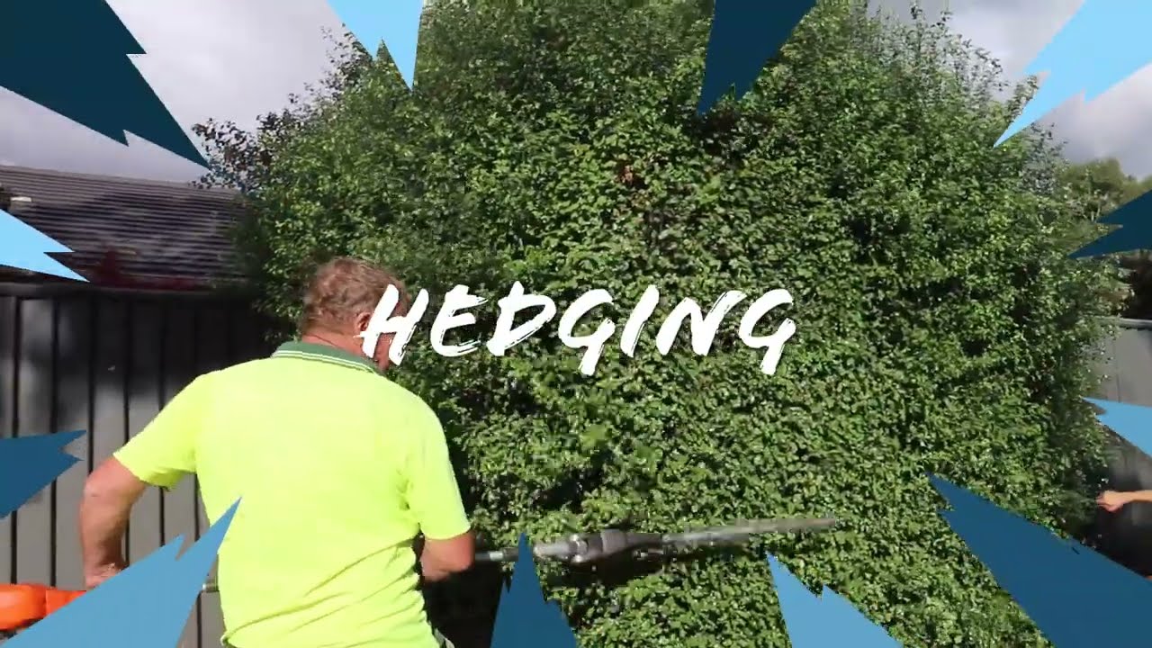 Hedging techniques and equipment #lawnmowing #gardener #gardening