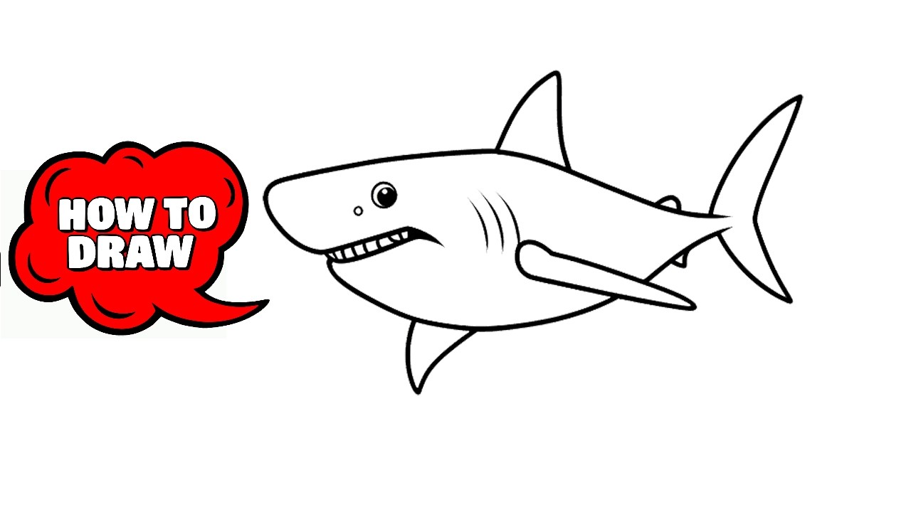How to Draw a Great White Shark 🦈 | Easy Step-by-Step Shark Drawing