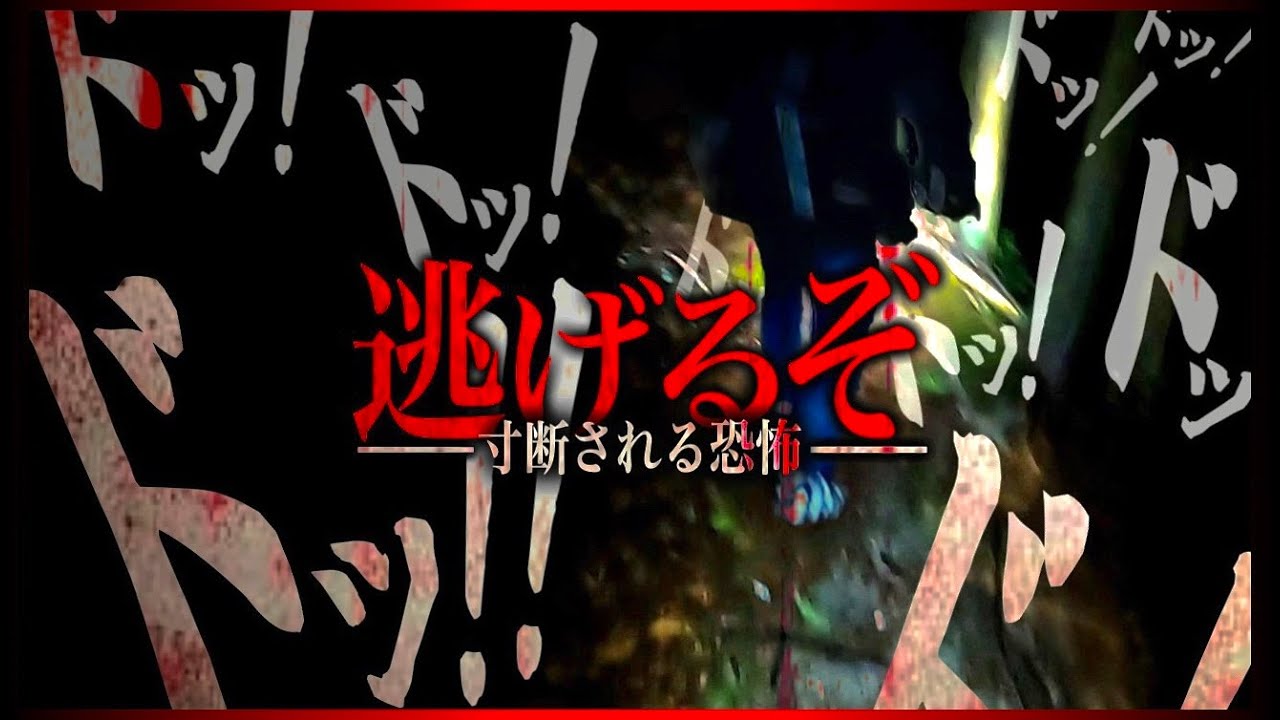 【心霊廃集落】緊急事態発生‼︎‼︎‼︎これがリアルです。