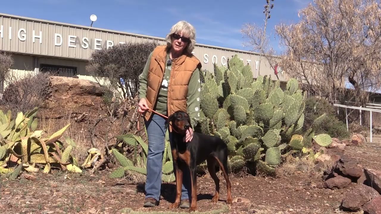 Adoptable Animals March 2006