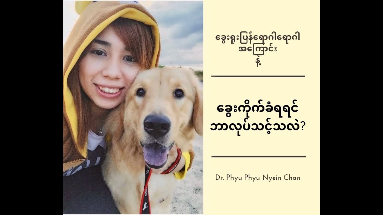 ခွေးကိုက်ခံရရင် ဘာလုပ်သင့်သလဲ? ခွေးရူးပြန်ရောဂါအကြောင်း