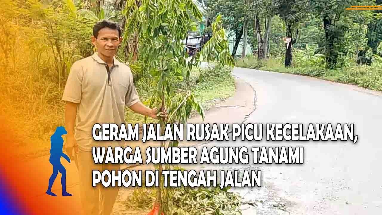 MAGETAN Geram Jalan Rusak Picu Kecelakaan, Warga Sumber Agung Tanami Pohon Di Tengah Jalan