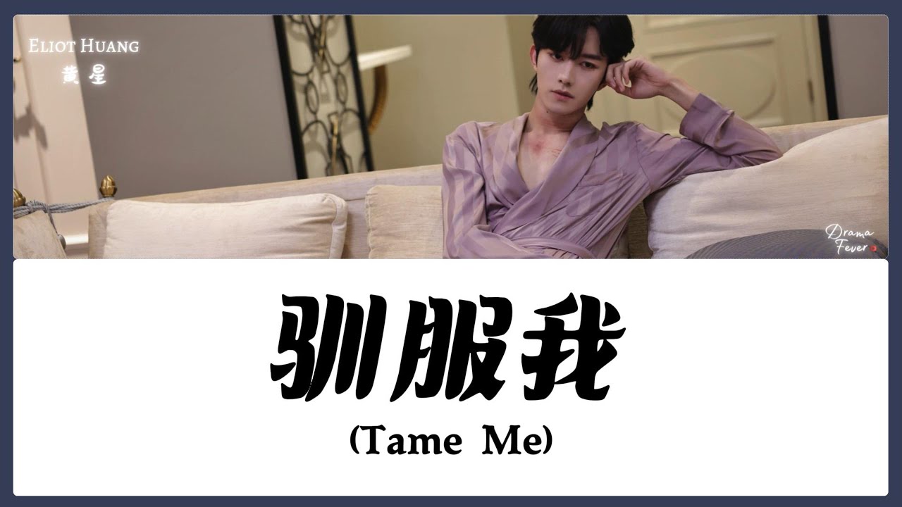 【CHI/ENG/PINYIN LYRIC】 Eliot Huang (黄星) - Tame Me (驯服我)