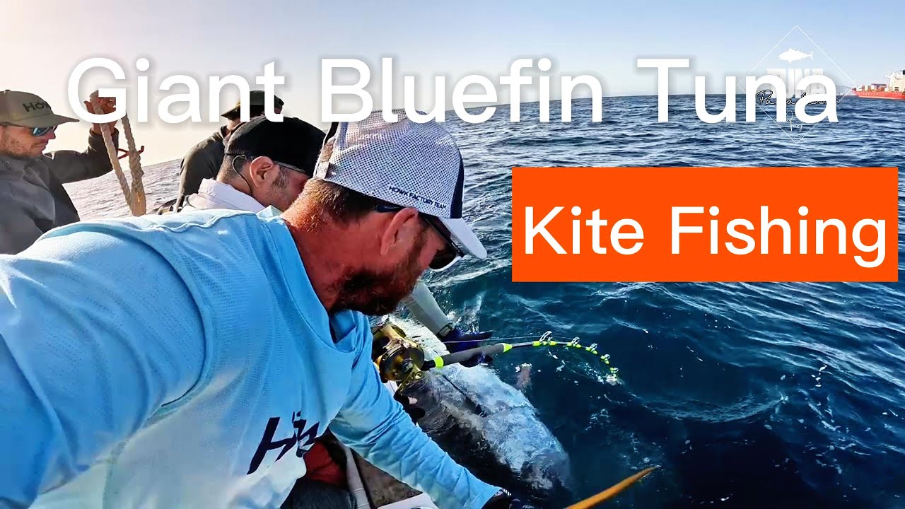 Learning Kite Fishing for Giant Bluefin Tuna. Circle hooks dont work! TUNA PARADISE