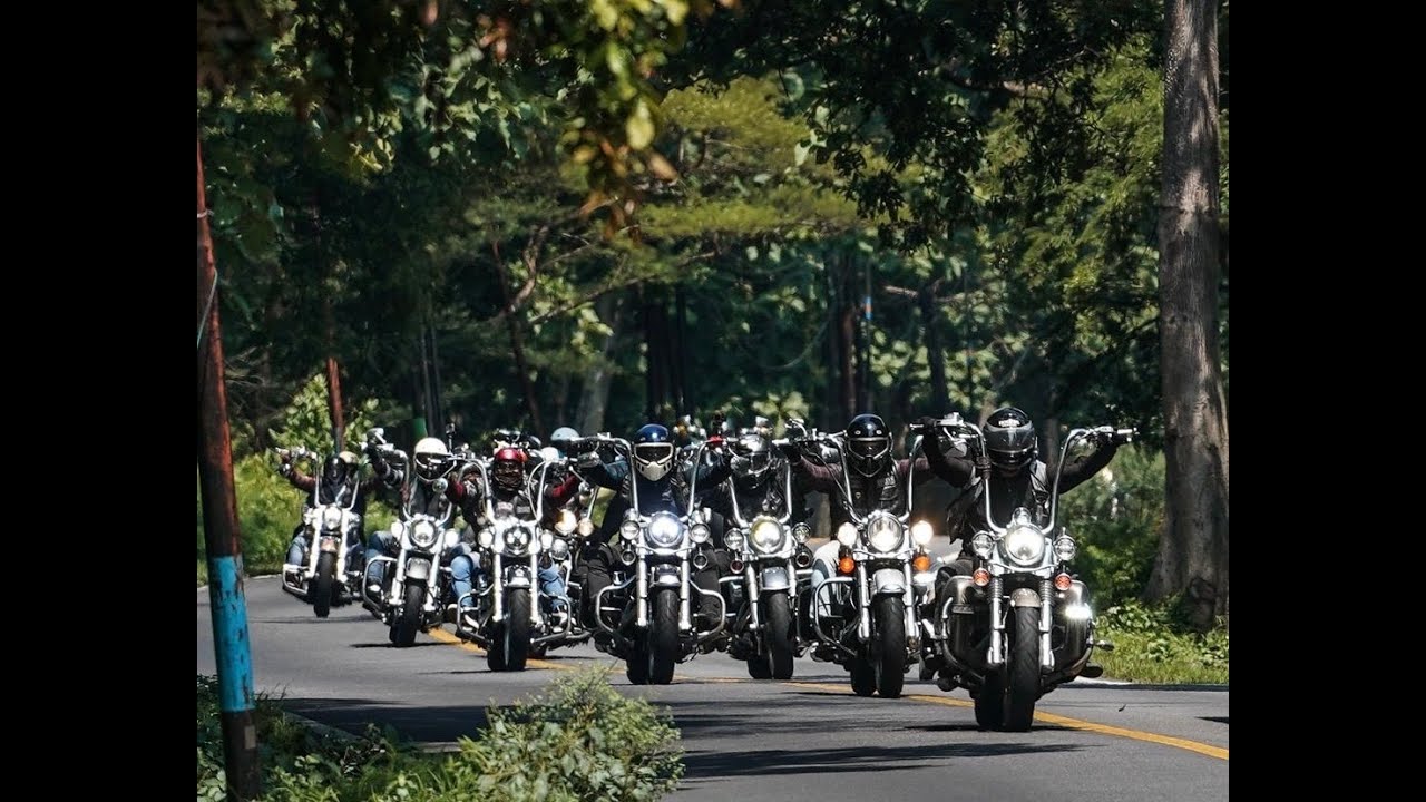 HarleyFest Day 3 Baluran Bali - Carlini Gangster Ape 20 Inch - Hogers Indonesia Ape Hanger Colony