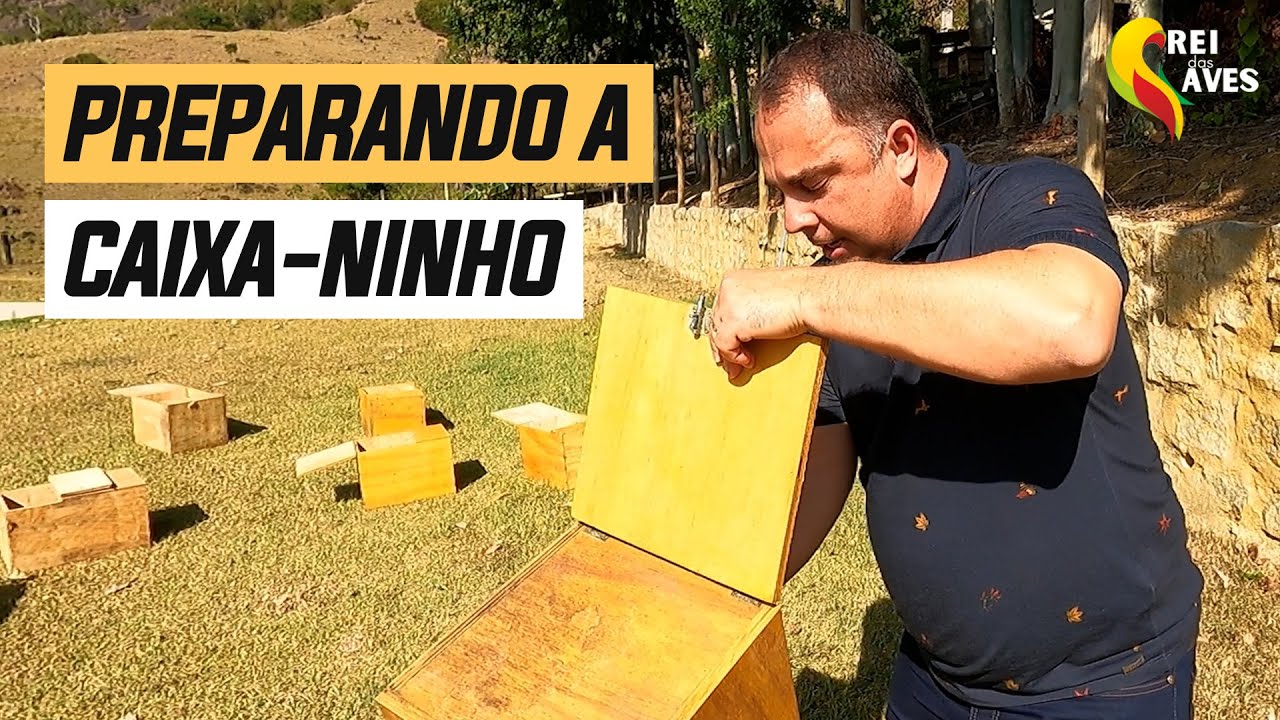 COMO PREPARAR A CAIXA NINHO