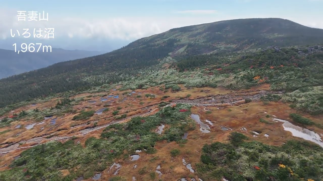 西吾妻山の草もみじ