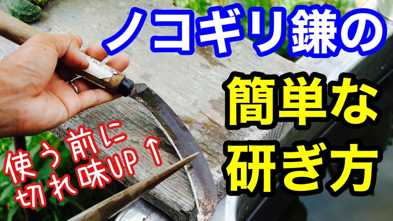ノコギリ鎌の研ぎ方・ダイヤモンドシャープナーの使い方【農具の話】2022年6月27日