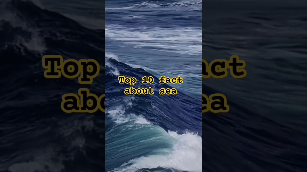 Top 10 fact about sea 