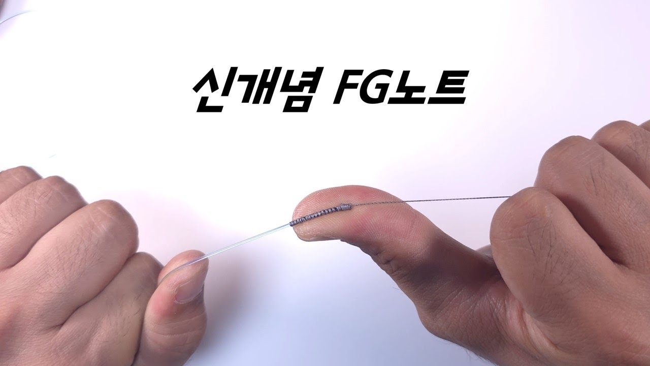 해외에선 유행 중인데, 우리나라만 아직 소개 안 된 신개념 FG노트 소개.