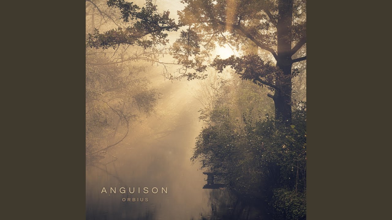 Anguison