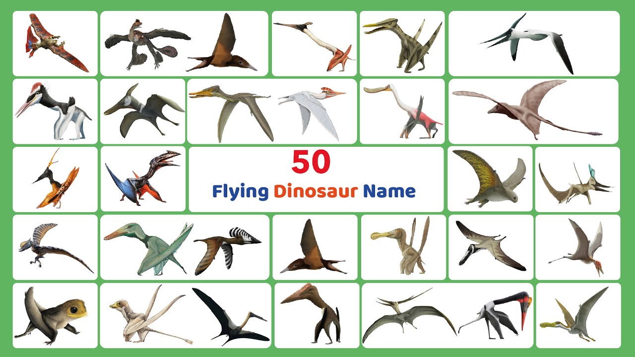 50 Flying Dinosaur Name with Picture II 50 Pterosaurs Dinosaur Name II  Jurassic World Dinosaur Name