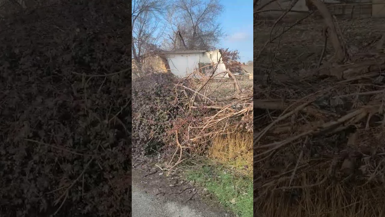 Прогулка по Ленгеру #казахстан #ленгер #прогулка 