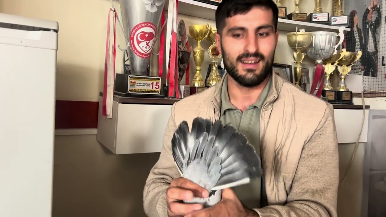 İŞTE GERÇEK ŞAMPİYON BALYOZCU ADEM VE EMEK VERDİKLERİ BU AKŞAM NELER VAR NELER