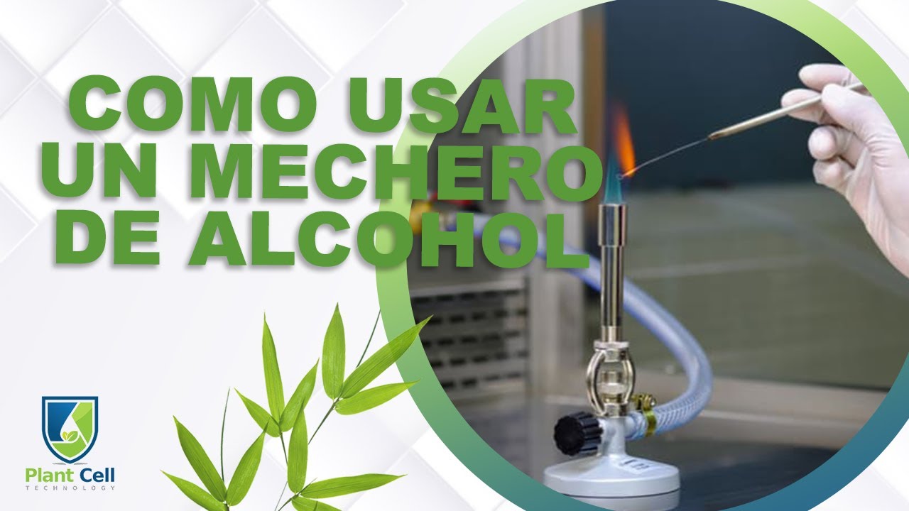 Como Usar un Mechero de Alcohol