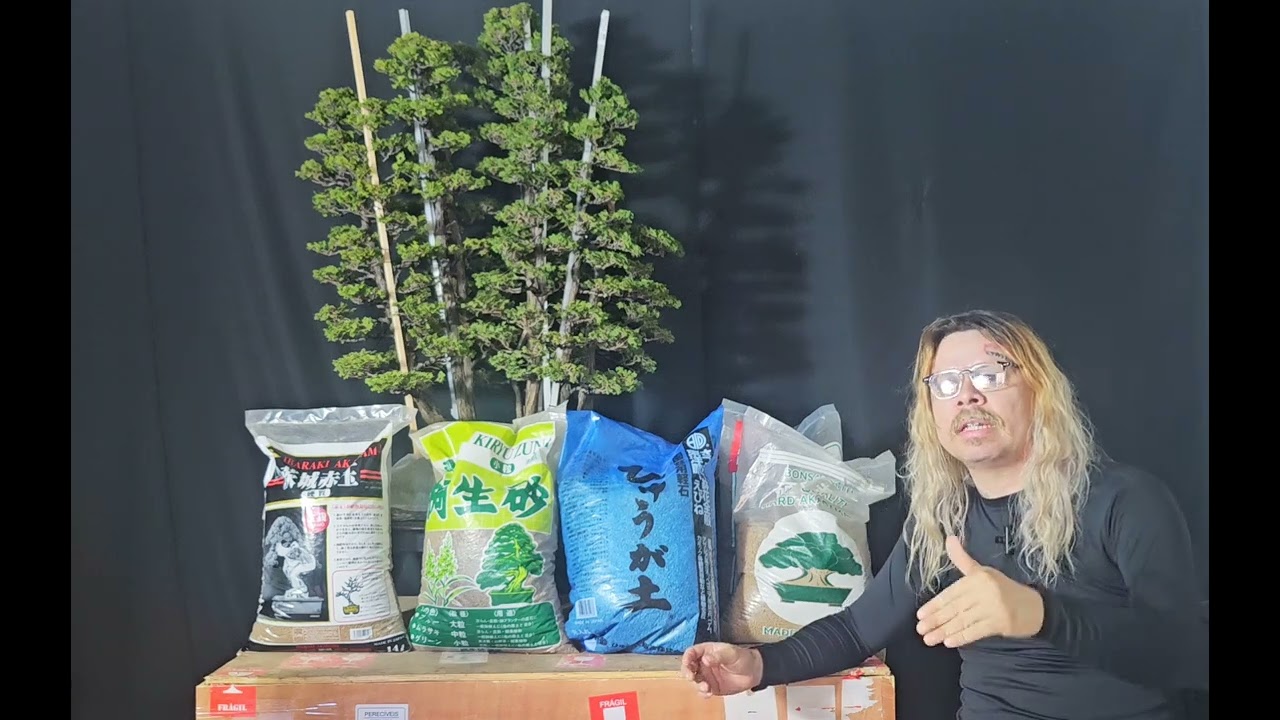 Novidade  akadama ibaraki no brasil!